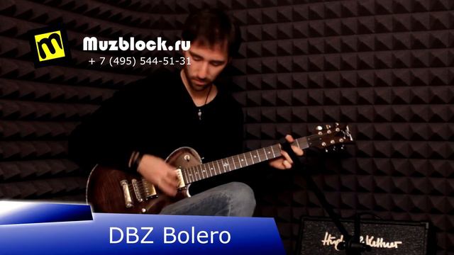 DBZ Гитары, Fender Champion, Hughes & Kettner