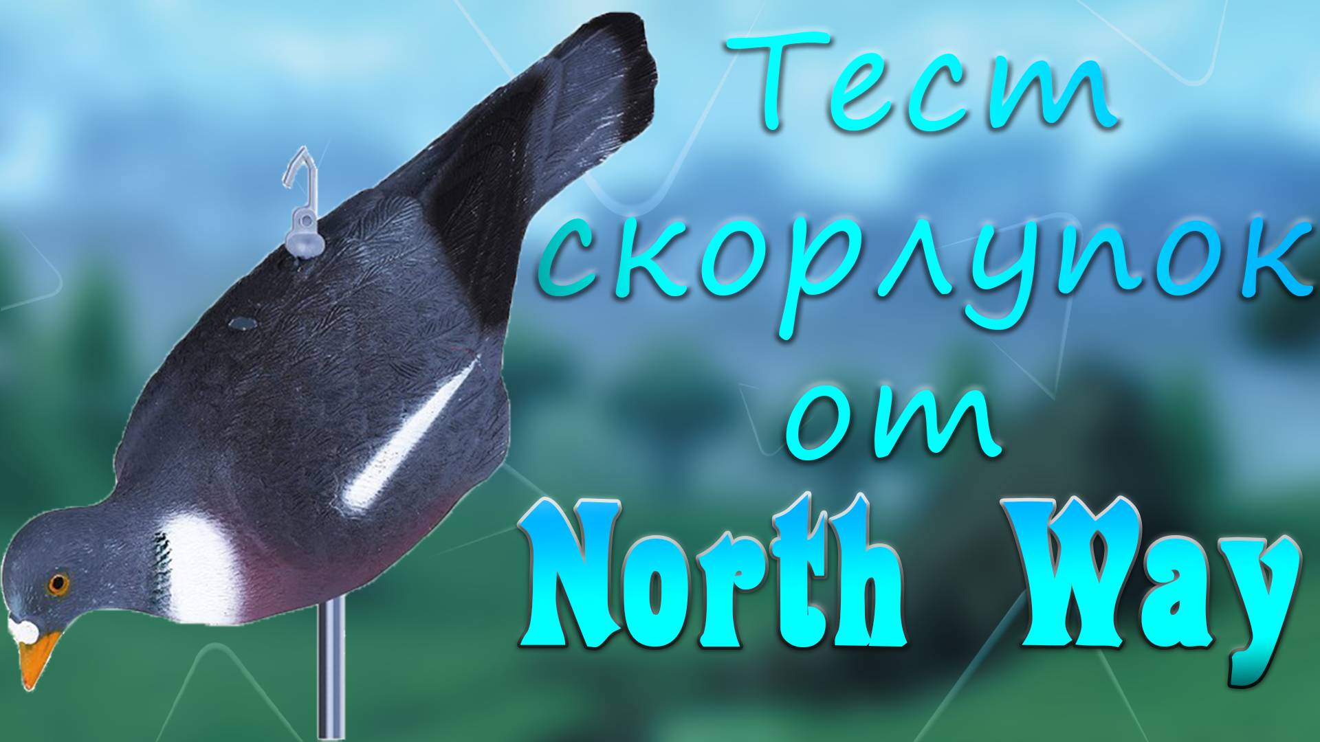 Тест скорлупок от фирмы NORTH WAY