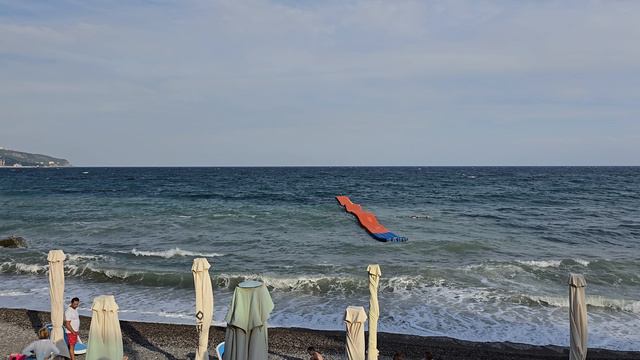 Чайки высматривают добычу на Приморском пляже Ялты