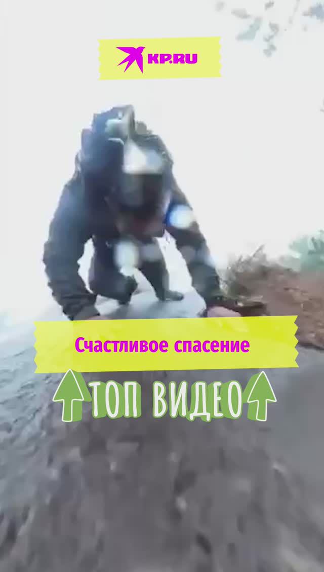 Счастливое спасение