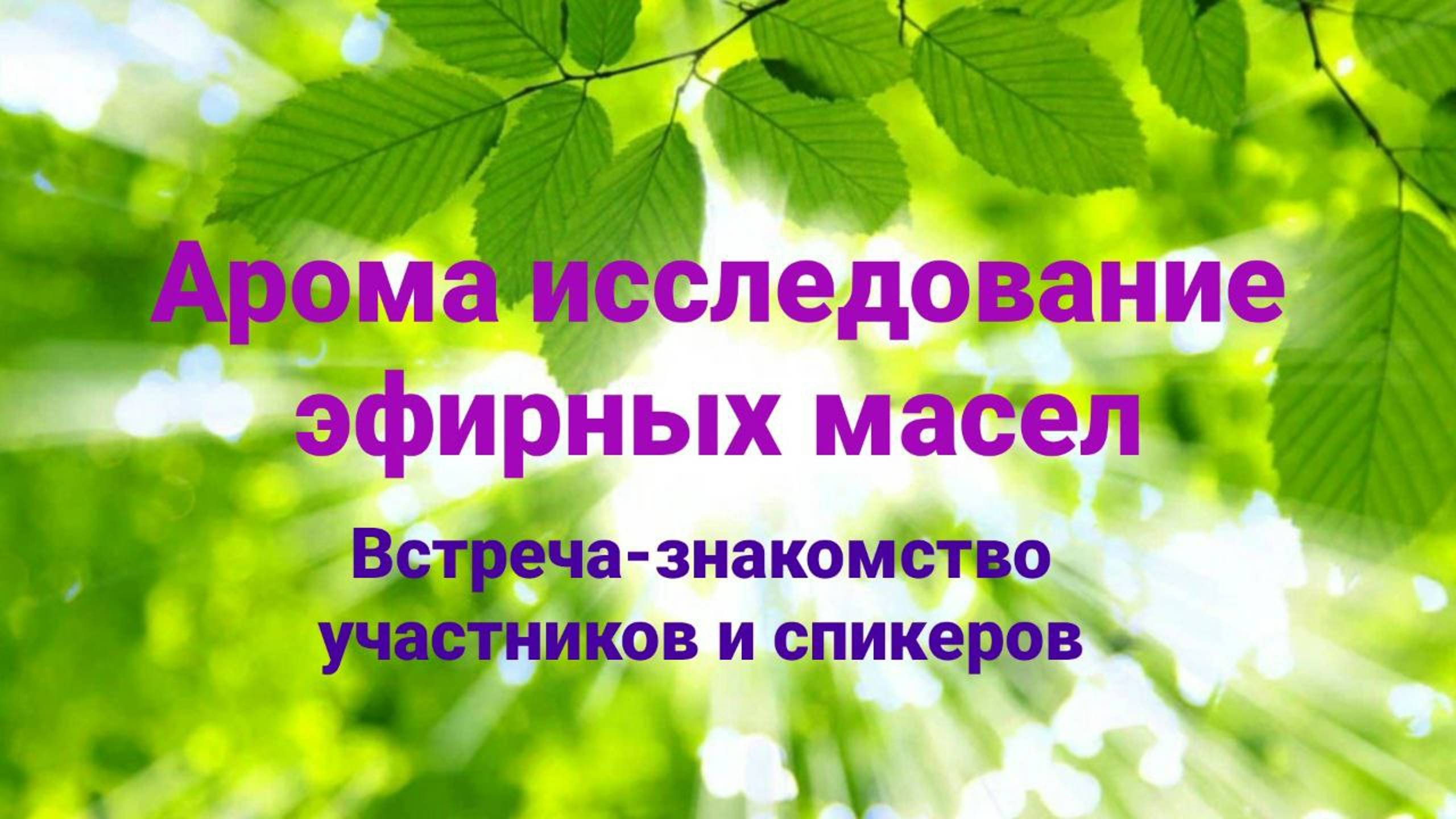 Встреча-знакомство участников и спикеров арома исследования