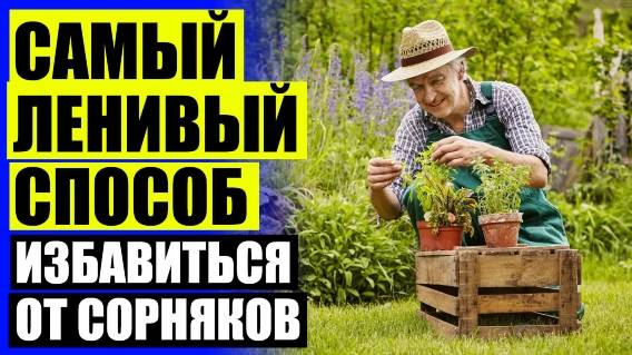 ⭐ Средство для избавления от сорняков