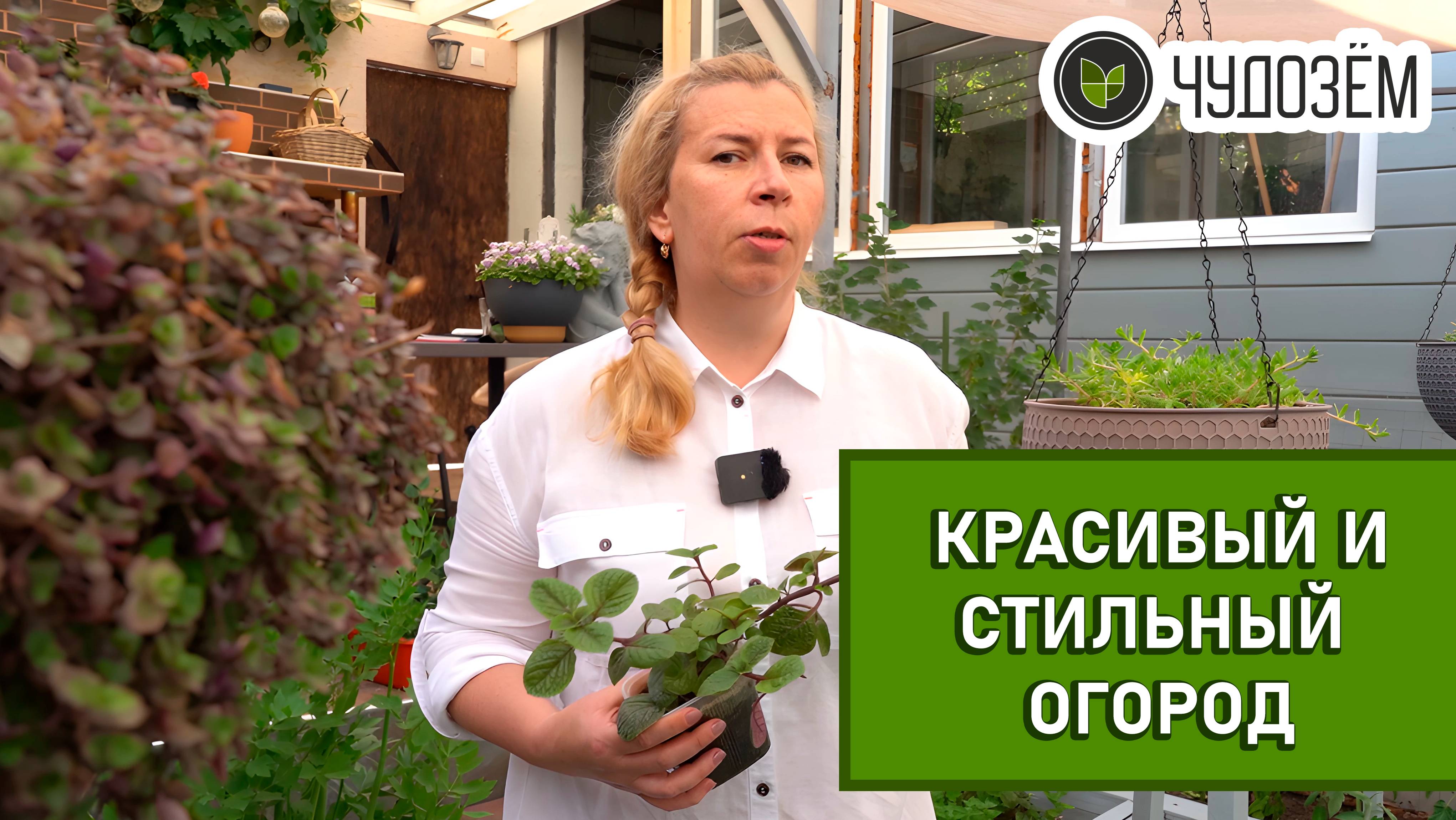 Удивительный огород: преобрази пространство с Чудозёмом🌿✨