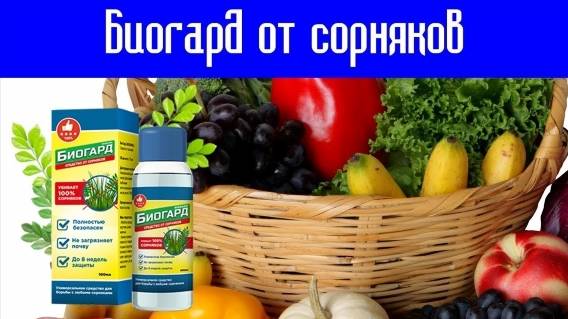 ⛔ СРЕДСТВО ОТ СОРНЯКОВ ПРИМЕНЕНИЕ 👌 БИОГАРД СРЕДСТВО ОТ СОРНЯКОВ РЕАЛЬНЫЕ 💯