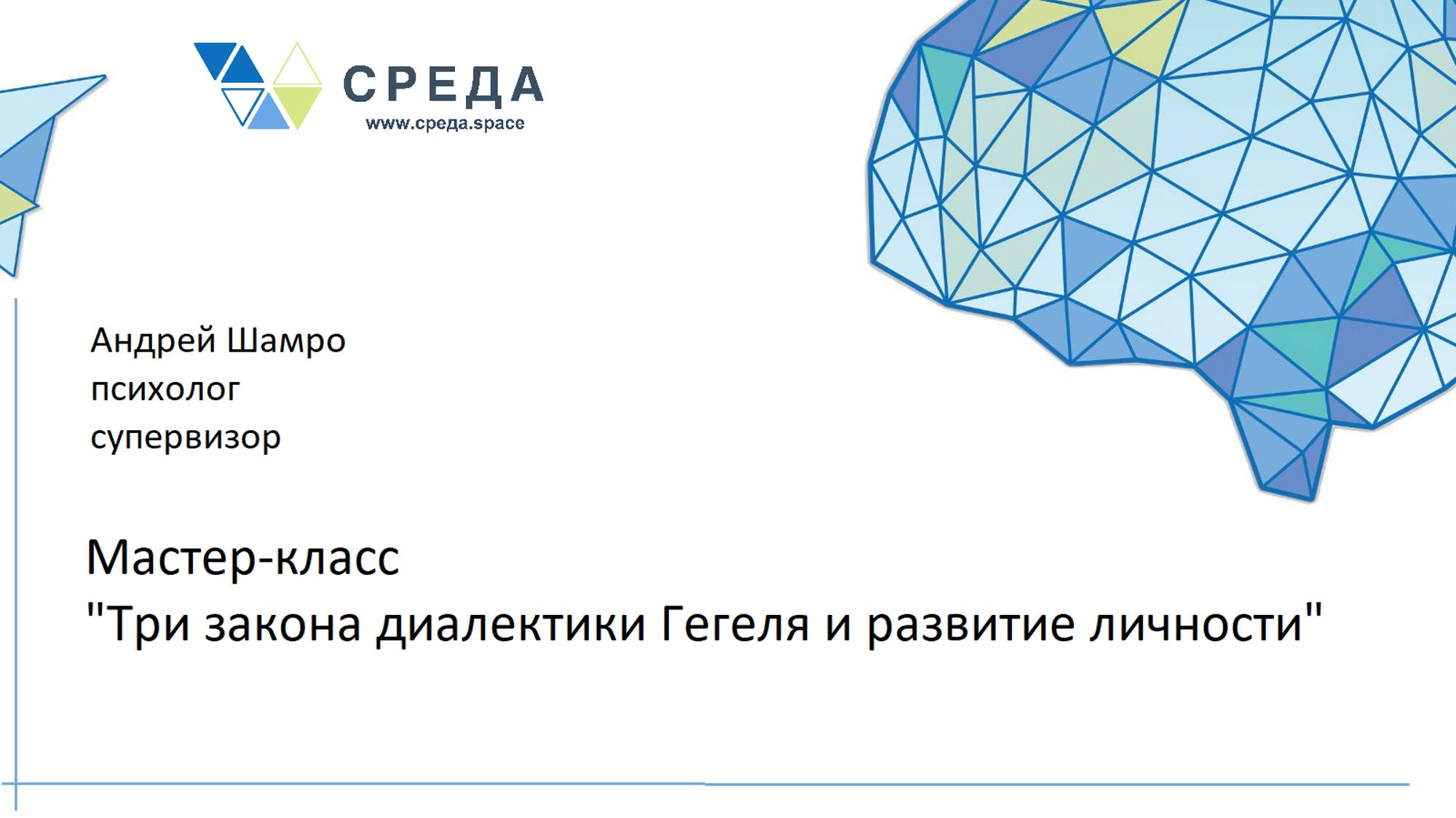 Мастер класс "Три закона диалектики"
