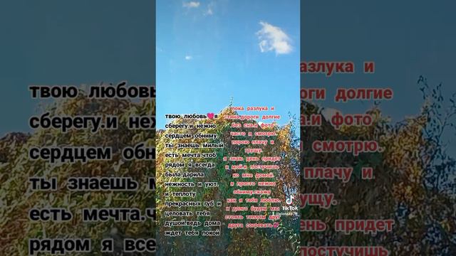 2024-09-22-114449415.mp4