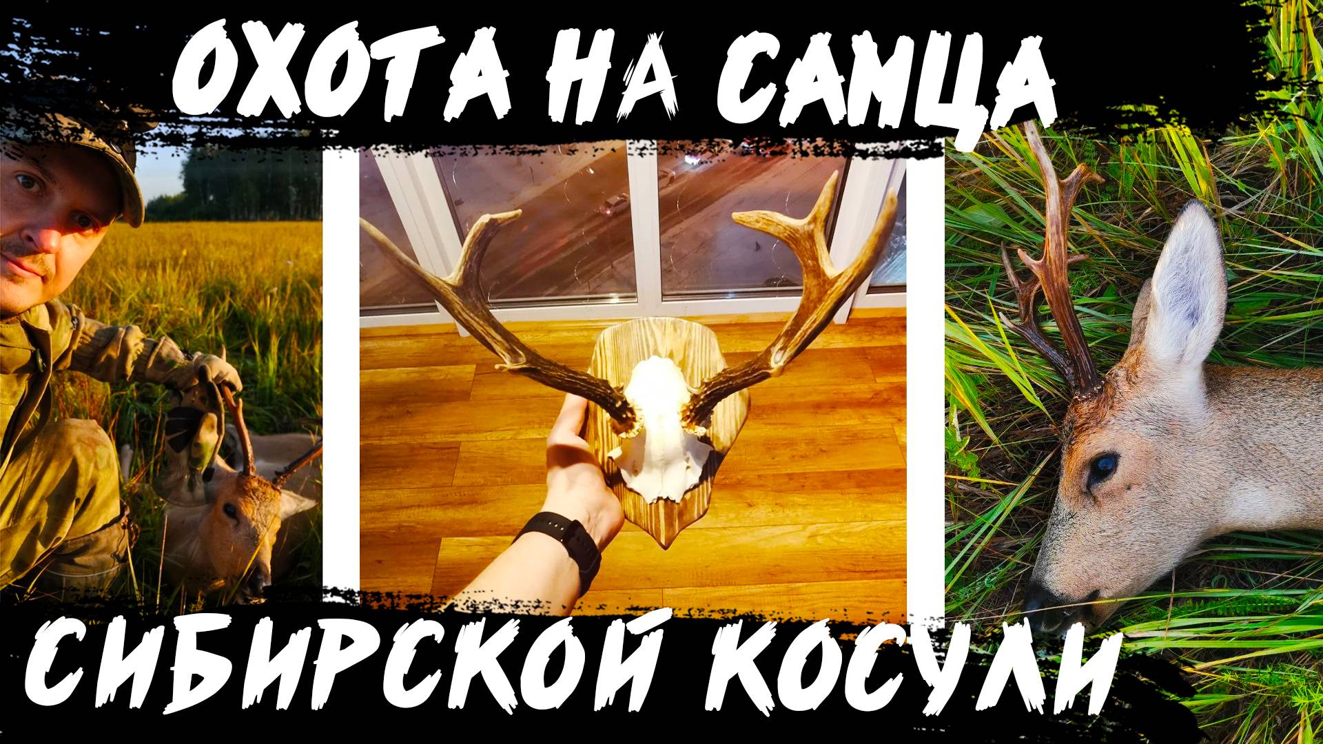 Охота на самца сибирской косули на гону. Первый опыт. Адреналин. Охота с ВПО 222 Вепрь-1В Ланкастер
