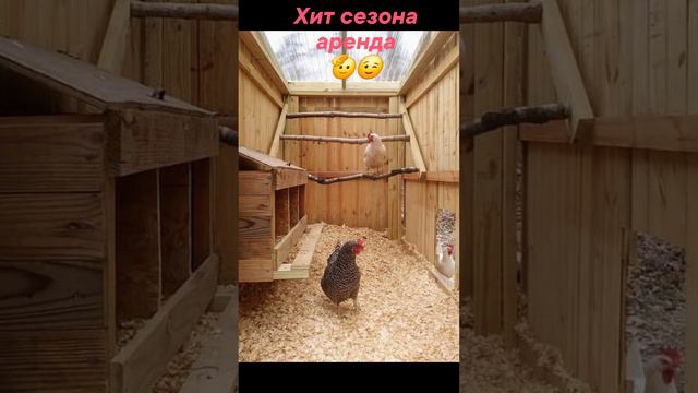 1000053529.mp4