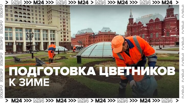 В Москве началась подготовка цветников к зиме - Москва 24