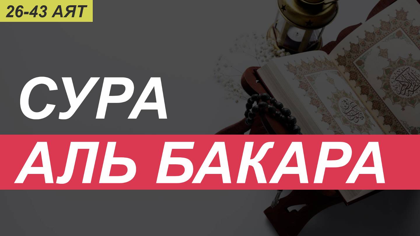 Сура Бакара 26 - 43 аят Абу Хабибв / surah Baqarah