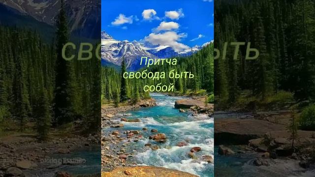 Ответы на твои вопросы 💕