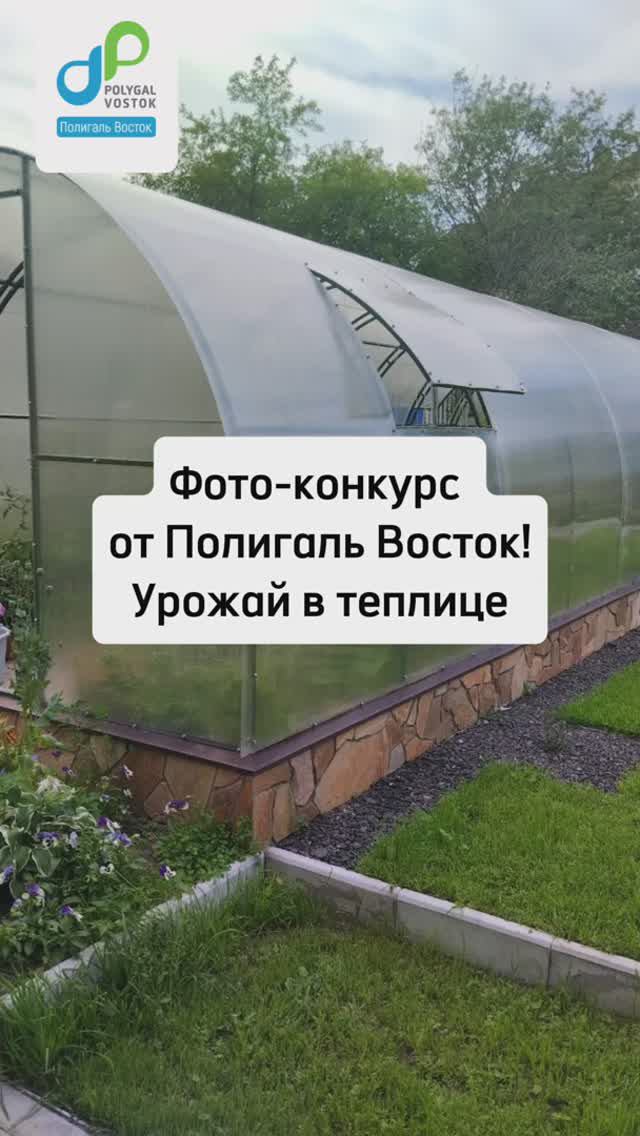 🍅ФОТОКОНКУРС «Урожай в теплице Полигаль Восток»🌿