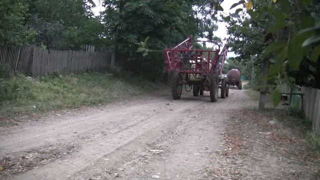 Поездка в село Адамовка на Украине в июле 2008 года. Часть 3.