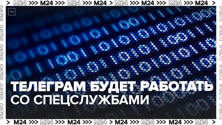 Telegram будет раскрывать спецслужбам IP-адреса нарушителей правил платформы - Москва 24