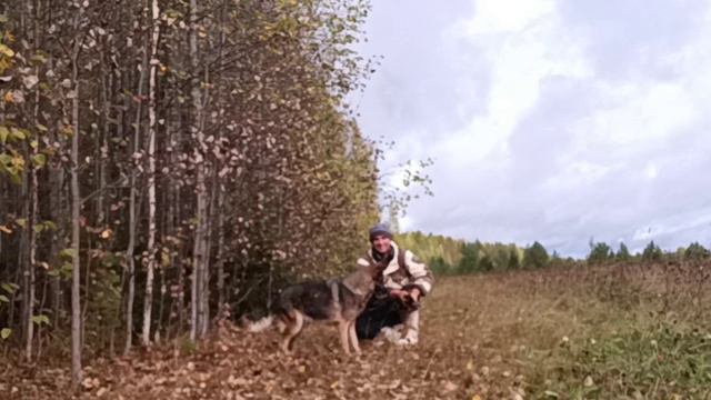 Листопад с музыкой.