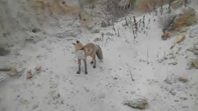 Встреча на Александровском грабене