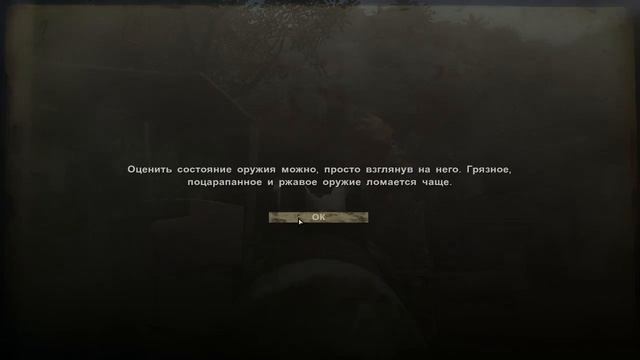 Дайте оружие Фаркрай 2 1