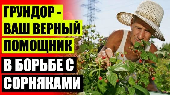 ГЕРБИЦИД ОТ СНЫТИ КУПИТЬ 🚫 КУПИТЬ ГЕРБИЦИД ДЛЯ ПШЕНИЦЫ 💡