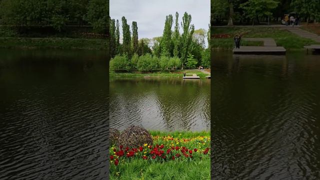 Цветы в парке Победа, Белгород. Flowers in Pobeda Park, Belgorod. #белгород  #цветы  #парк #belgorod