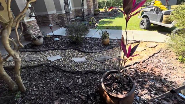 Planting Flowers Finally! | Florida Spring Yard Refresh Ep 3 | Fix It Friday