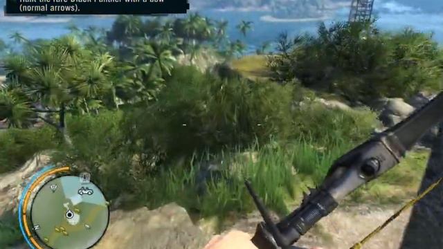 Far Cry 3 Path Of The Hunter Black Panther