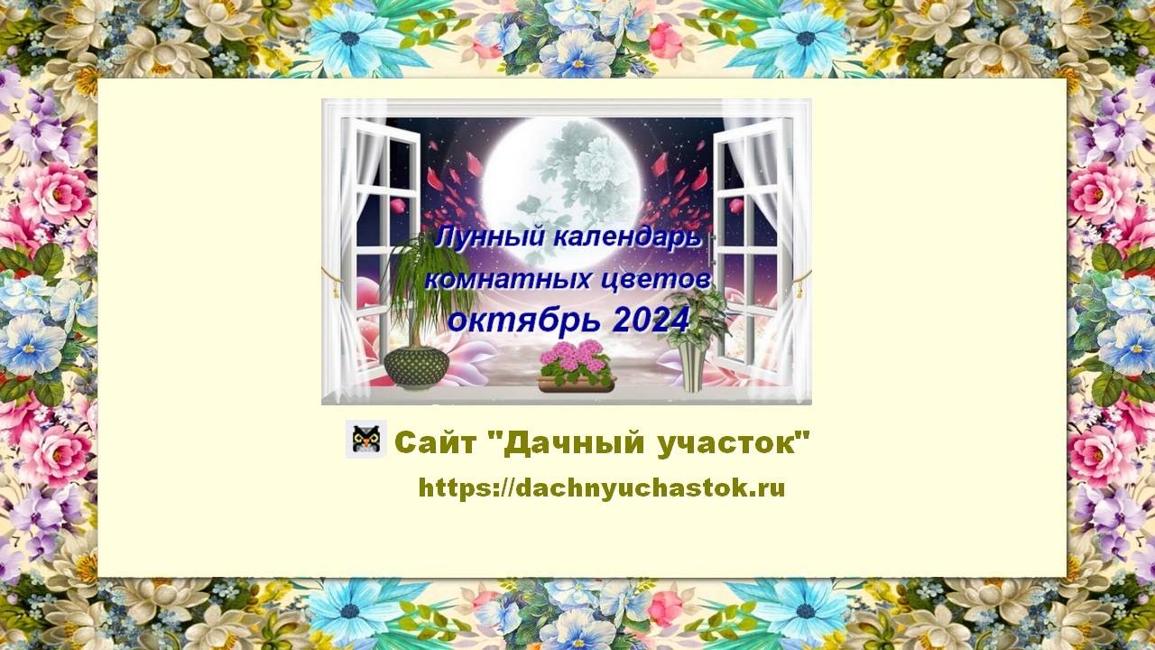 Лунный календарь комнатных растений на октябрь 2024 года