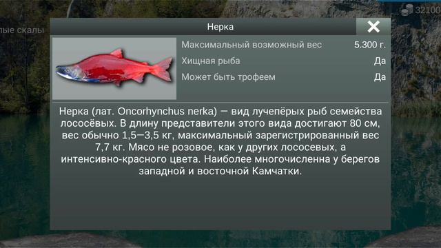 рыбалка 🎣 MyFishing. ловим 🎣 Нерку.