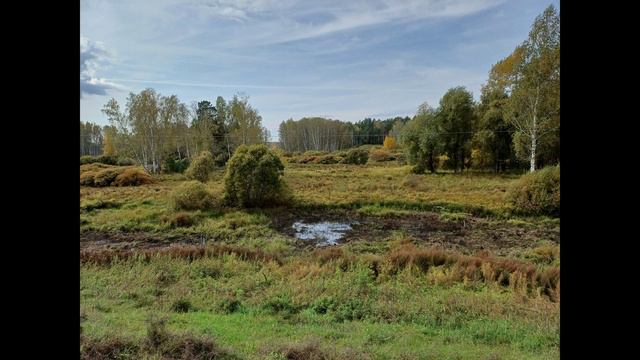 Краски осени. Прогулка с внучатами на природе 2024 г.