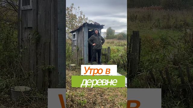 Утро в деревне. Сельский туалет