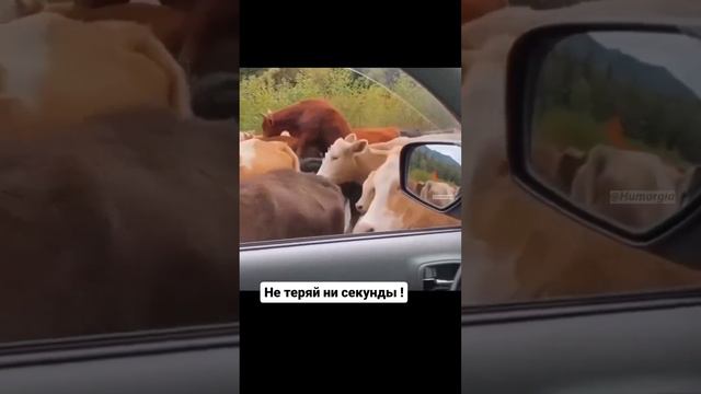 1000007891.mp4