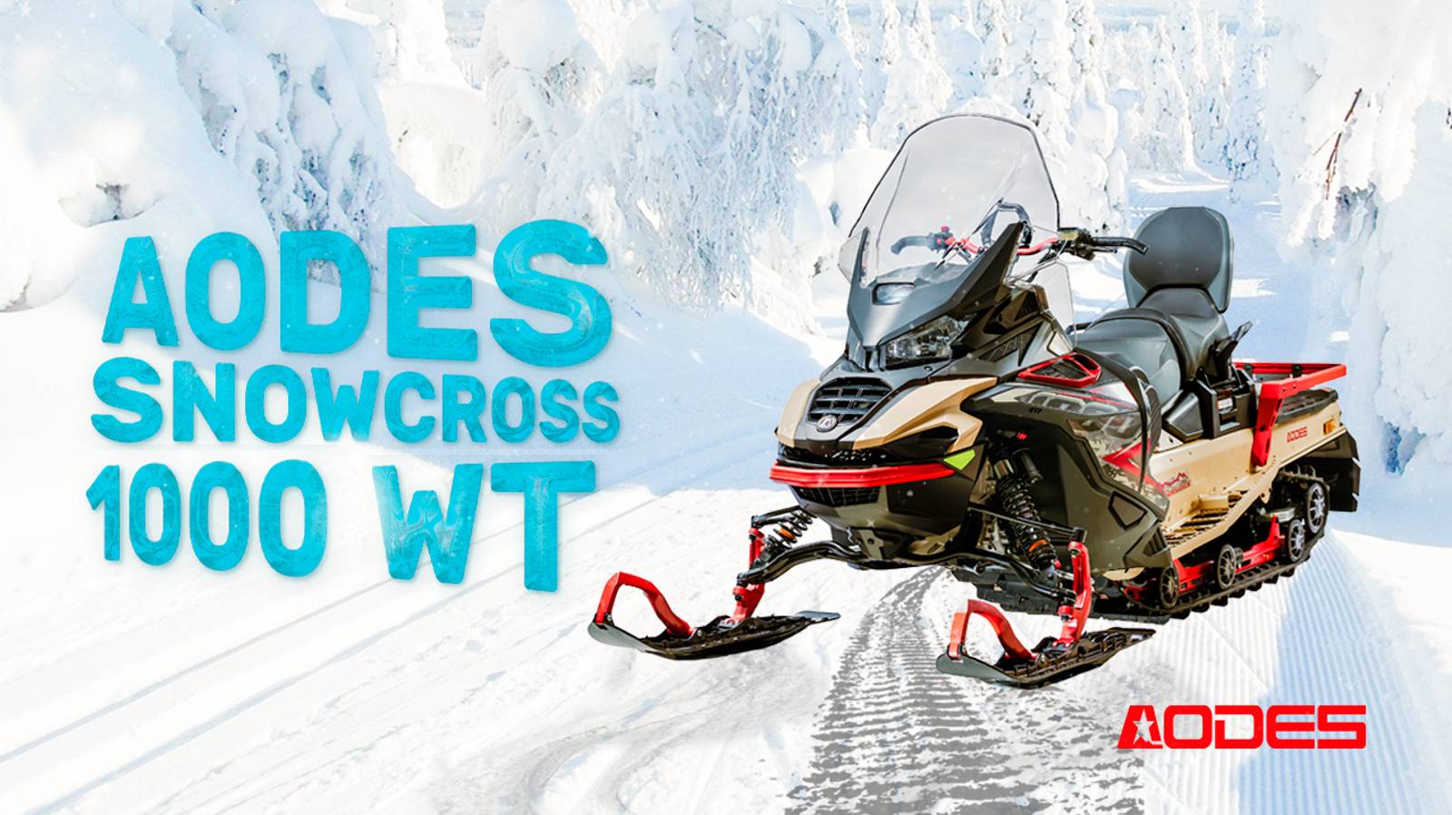 AODES Snowcross 1000 WT