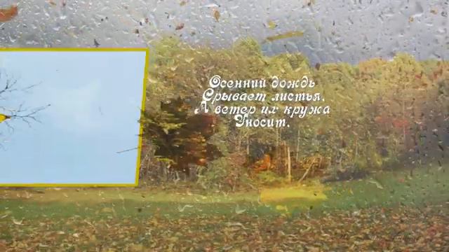 Осенний свет