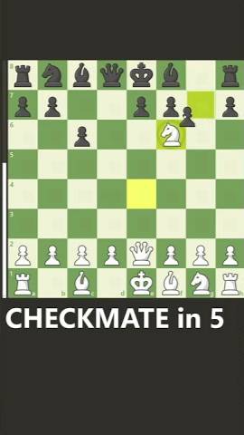 5 move CHECKMATE (Caro Kann Trap)