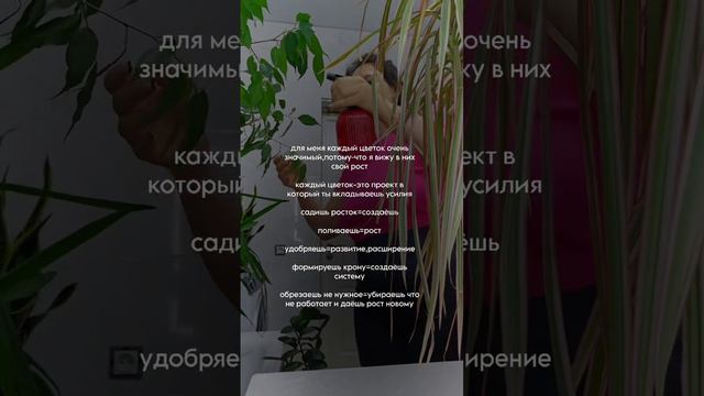 Как не обесценивать то,что ты имеешь и выдерживать свою скорость роста