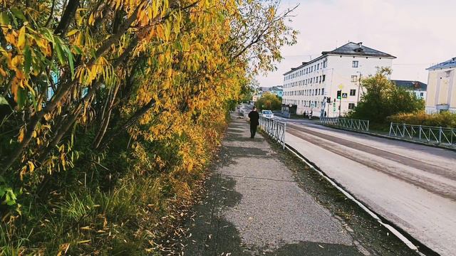 Воркута. 17.09.24. Дончука, Гоголя, Ленинградская, Ломоносова.