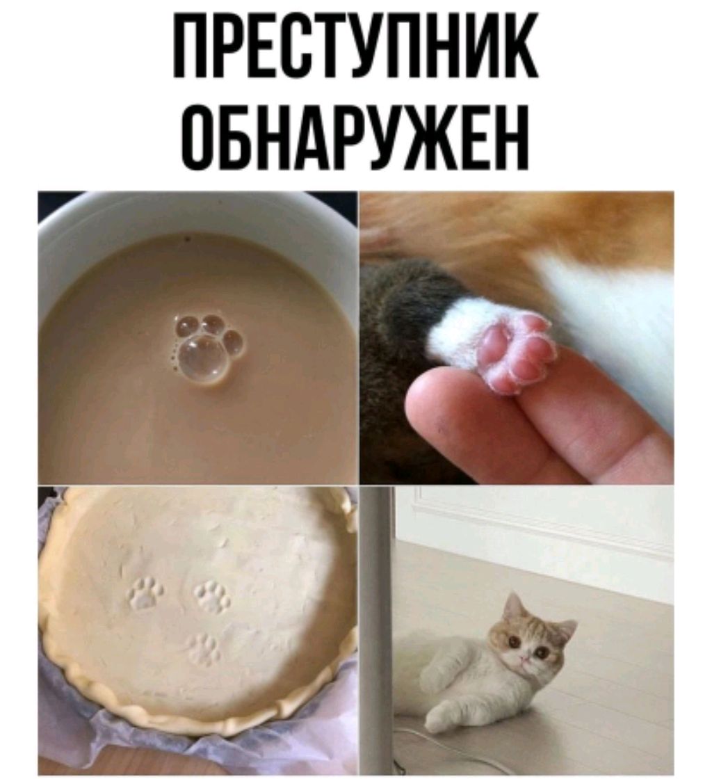 ГлаМур(◕ᴗ◕✿)