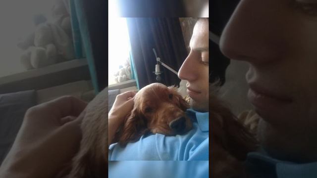 Навсегда Наша Санни❤