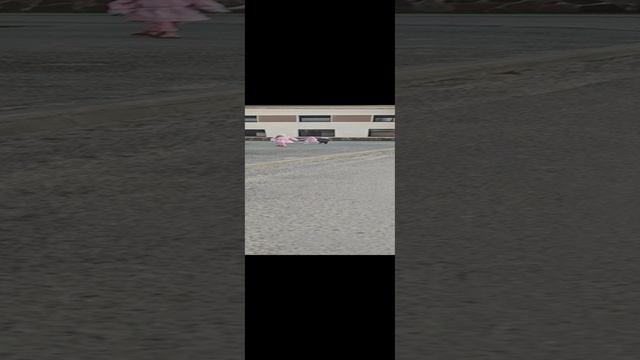 1000010215.mp4