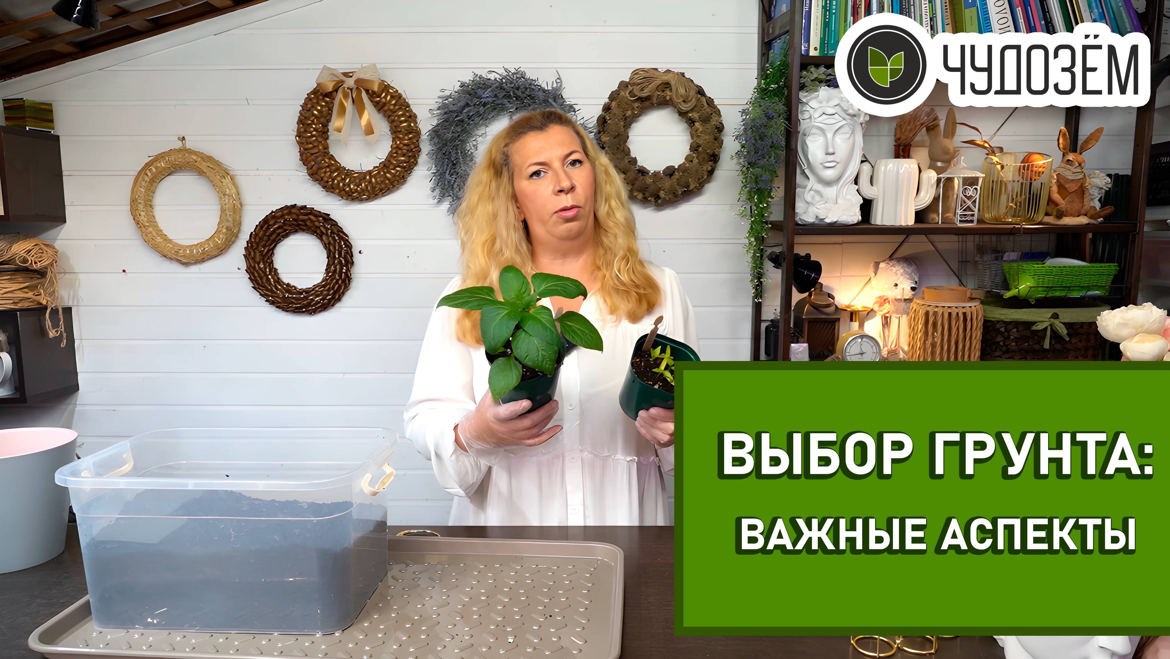 Как выбрать качественный грунт для растений: советы от Марины Рыкалиной 🌿