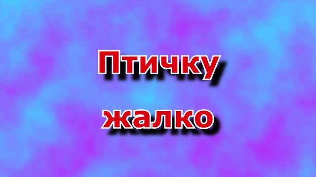 Птичку жалко