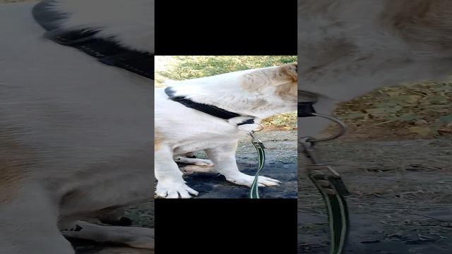 1000132334.mp4