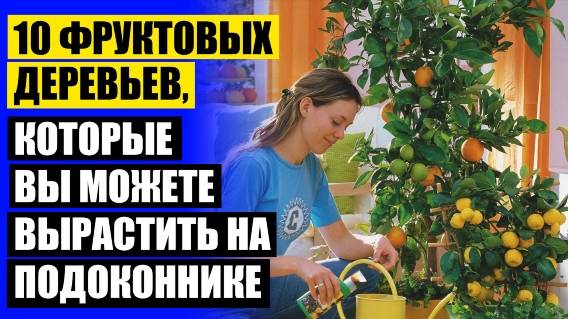 ⚡ МИНИ ДЕРЕВЬЯ ПЛОДОВЫЕ КУПИТЬ