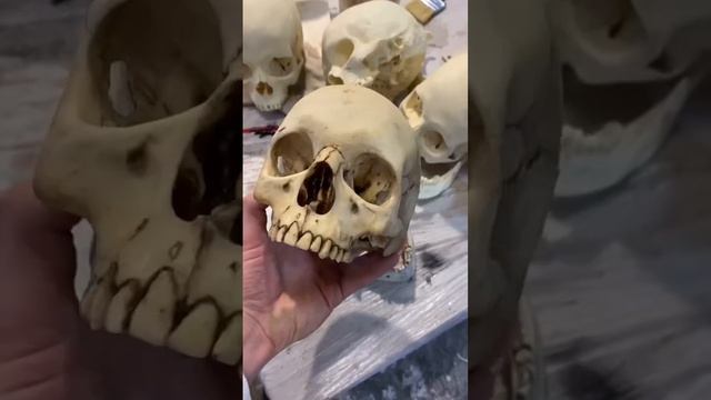 Нашли череп в мастерской  Found a skull in the workshop