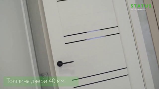 Двери межкомнатные FLY DOORS. Коллекция STATUS Soft Touch 01