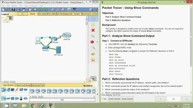 11.3.3.3 Packet Tracer - Using Show Commands