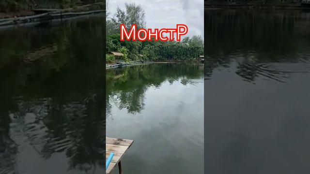 Монстр