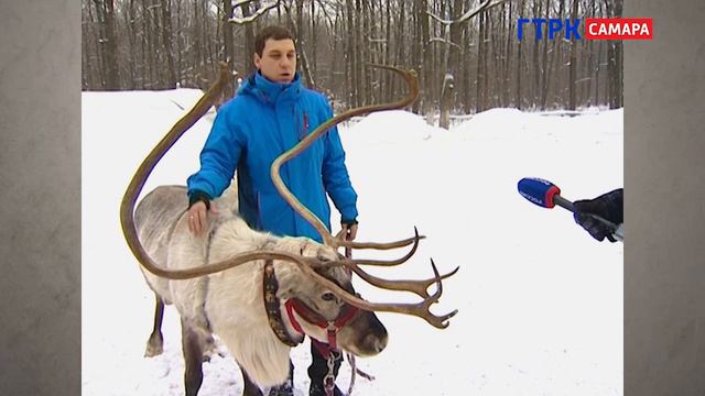 20160214 Культурный слой северный олень