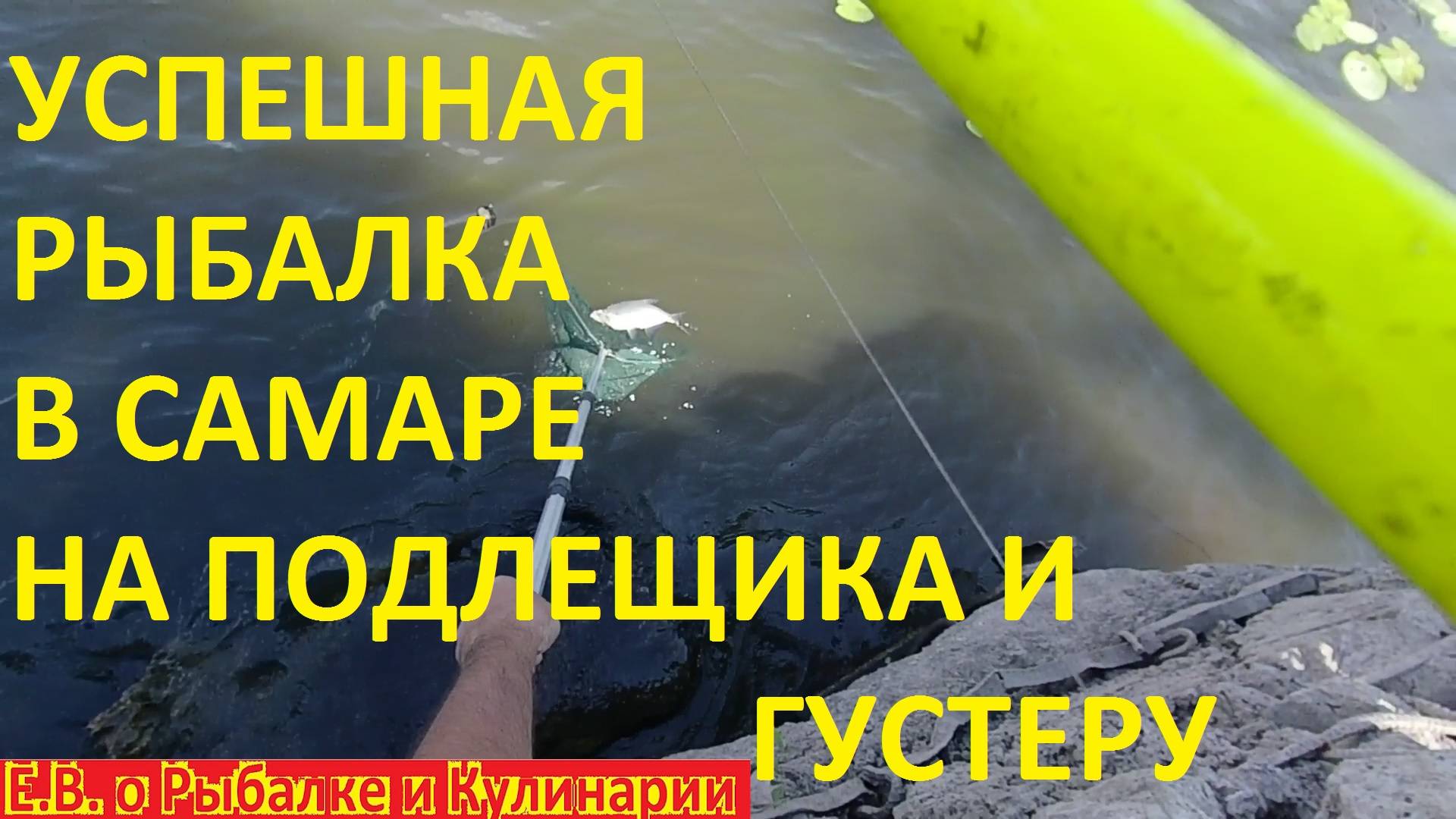 РЫБАЛКА НА ФИДЕР В САМАРЕ 2024,ЛОВИМ КРУПНЫХ ПОДЛЕЩИКОВ И ГУСТЕРУ НА РЕКЕ САМАРА