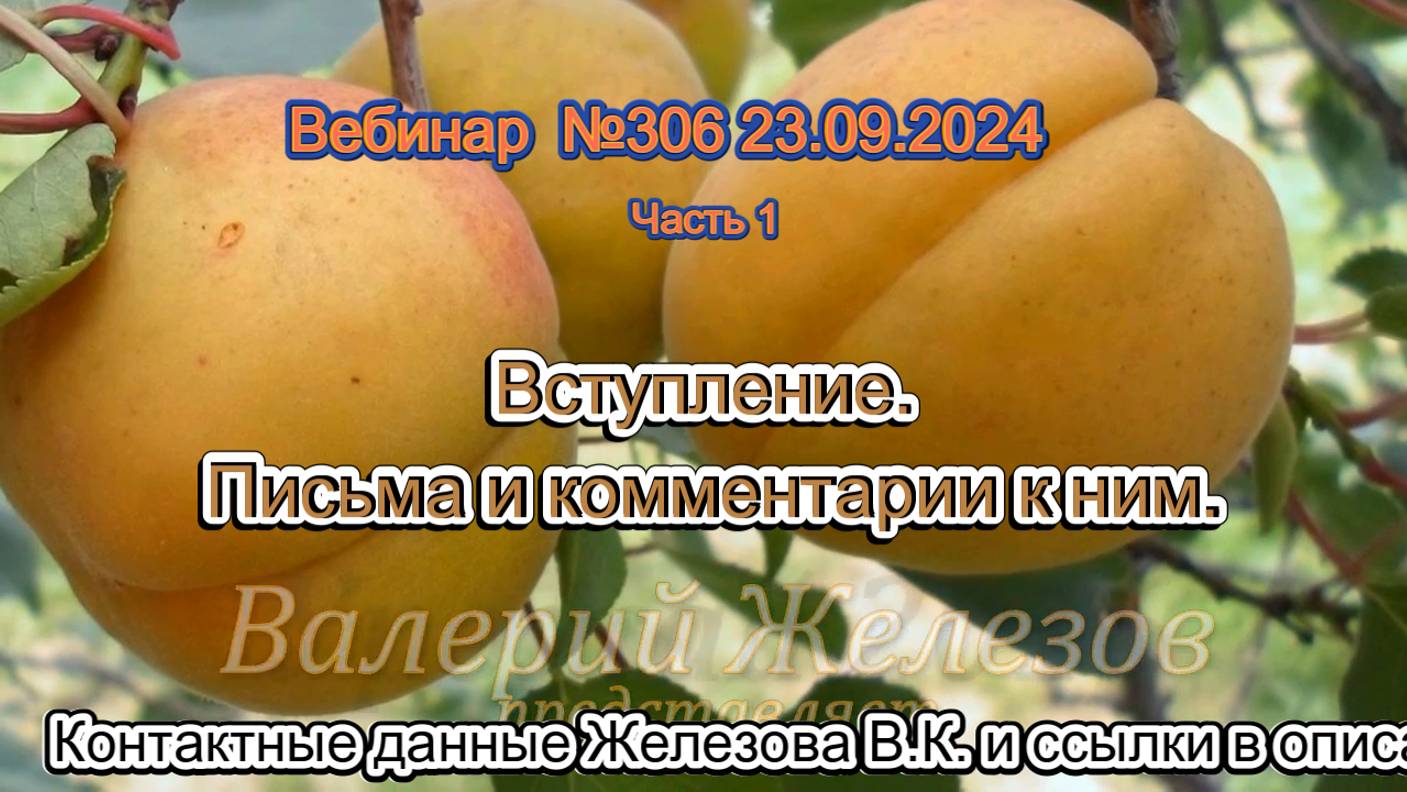 Железов Валерий. Вебинар 306. ч.1. Вступление. Письма и комментарии к ним.