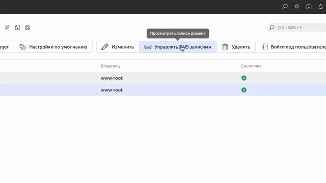 Как правильно настроить DNS-записи в ispmanager